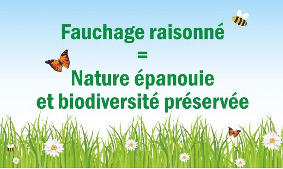 fauchage raisonné