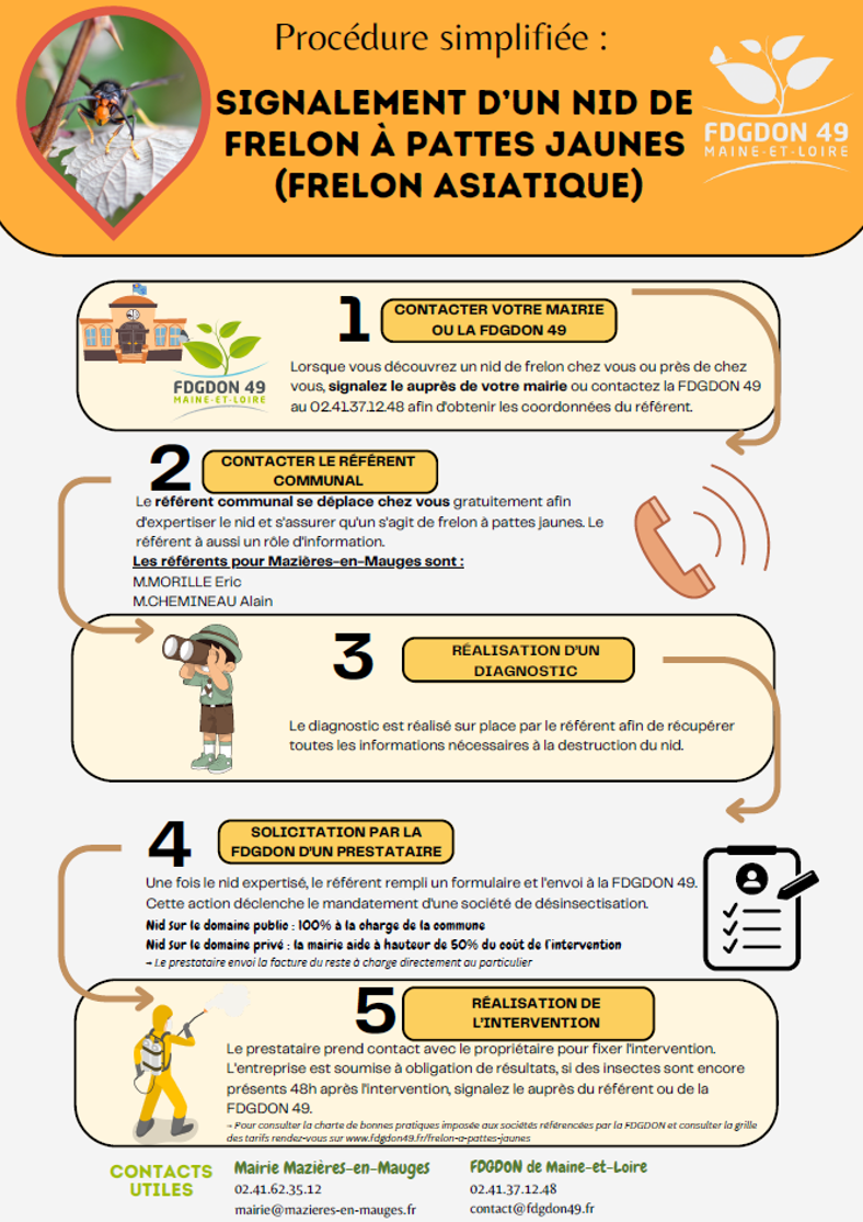frelon asiatique - fiche procédure