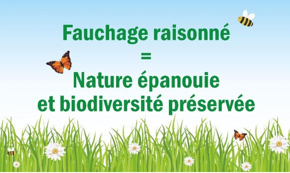 fauchage raisonné